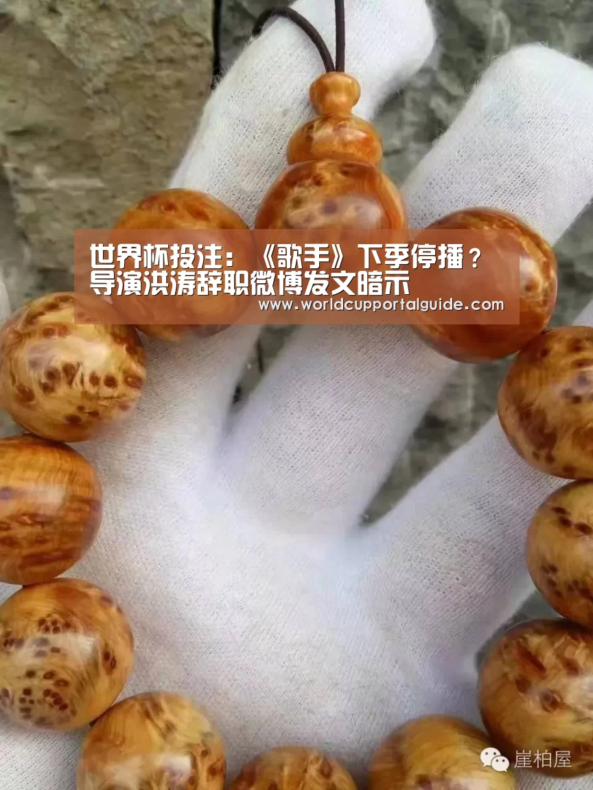 世界杯投注：《歌手》下季停播？导演洪涛辞职微博发文暗示